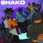 Barry Jhay – Shako