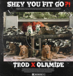 Trod ft. Olamide – Shey You Fit Go?