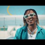 1da Banton – No Wahala