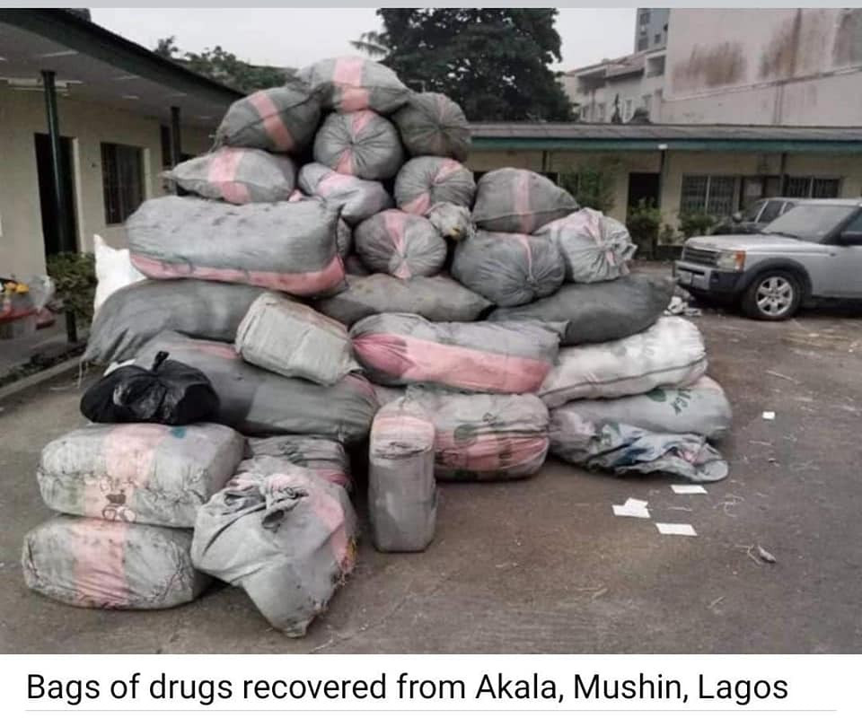 NDLEA arrests dismissed DPO, Female drup kingpin, others with hard substances  (photos)