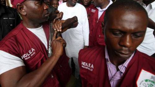 NDLEA demands drug test for undergraduates in Nigerian universities