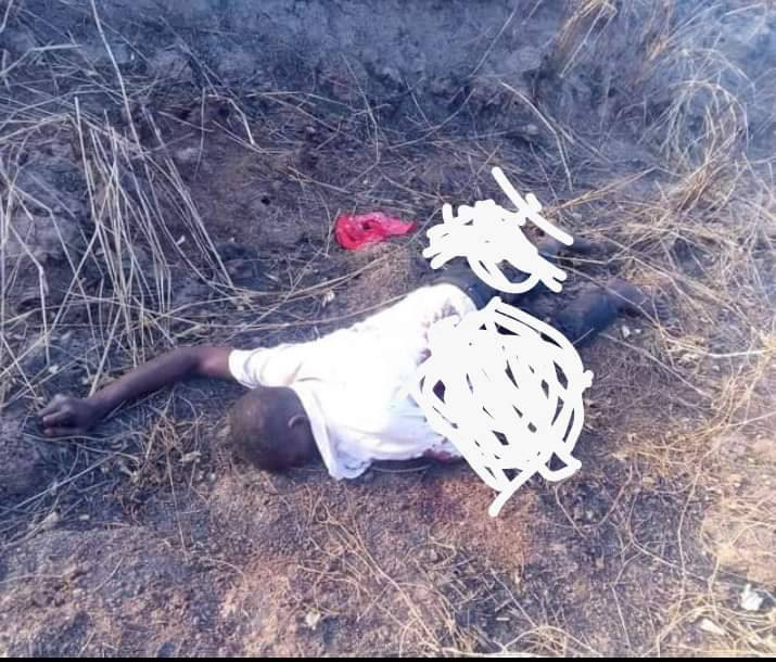 Suspected Fulani herdsmen kill three mourners in Benue 