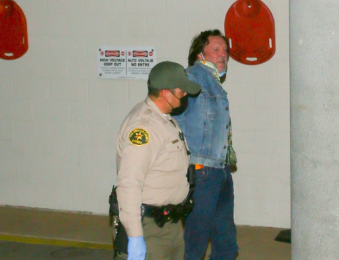 Michael Madsen is arrested just weeks after his son died in suspected suicide