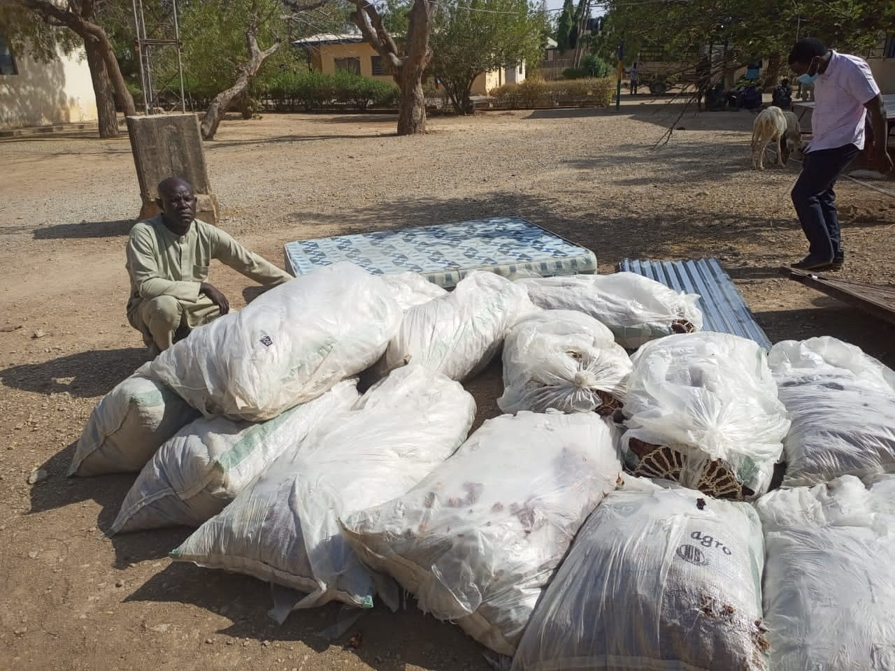 Police bust notorious burglary syndicate, arrest suspected thieves, drug dealers and brigands with dangerous weapons in Katsina 