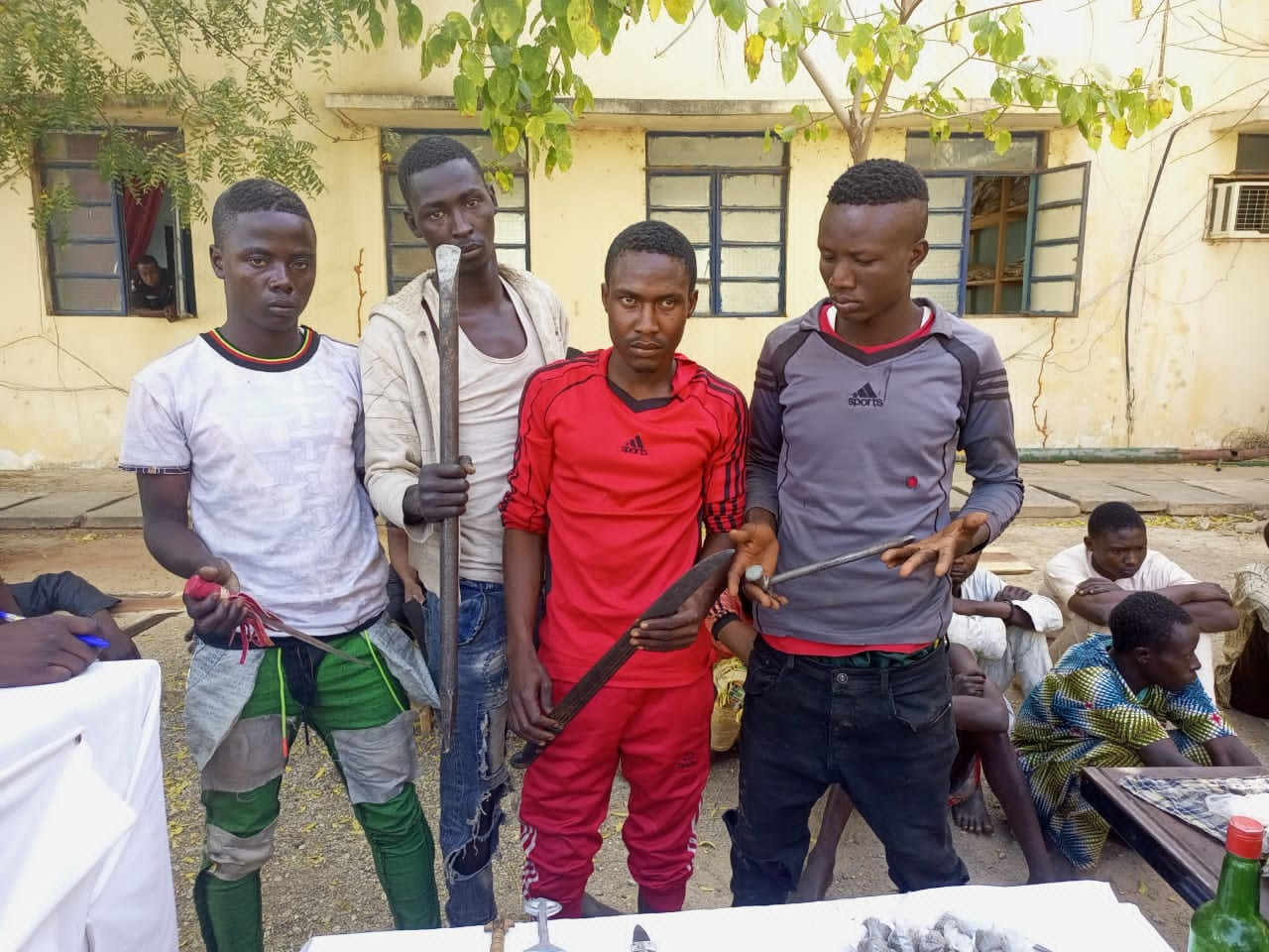 Police bust notorious burglary syndicate, arrest suspected thieves, drug dealers and brigands with dangerous weapons in Katsina 