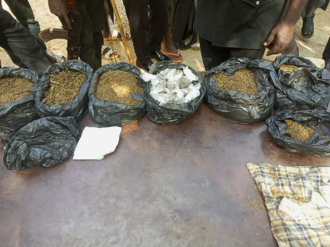 Police bust notorious burglary syndicate, arrest suspected thieves, drug dealers and brigands with dangerous weapons in Katsina 