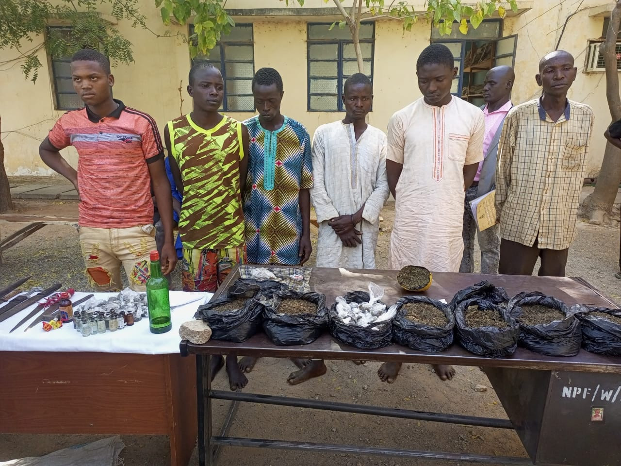 Police bust notorious burglary syndicate, arrest suspected thieves, drug dealers and brigands with dangerous weapons in Katsina 