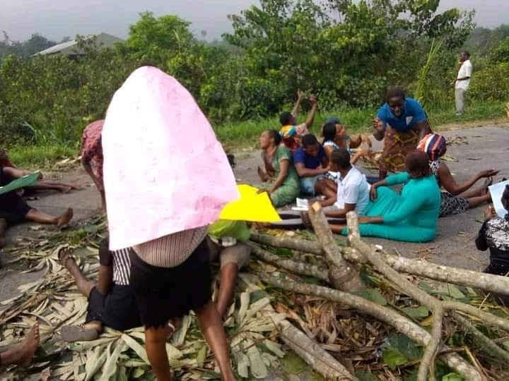 Women protest invasion, destruction of farmlands by herdsmen in Bayelsa community 