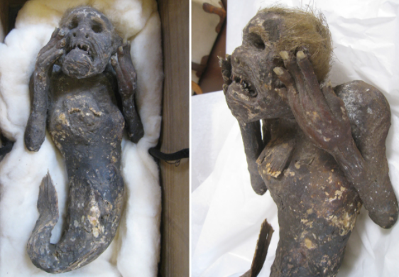 Scientists baffled by?mummified 