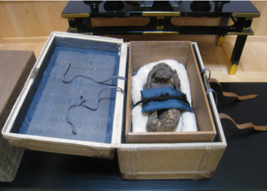 Scientists baffled by?mummified 