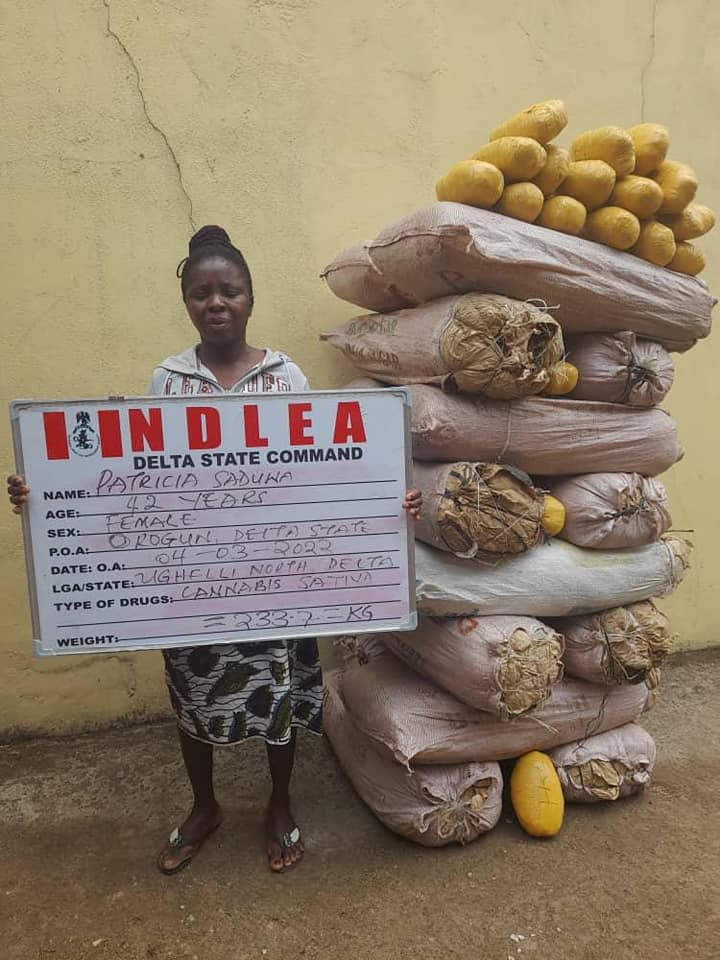 Principal suspect in importation of Jihadist drug arrested after six months on the run as NDLEA recovers 294,440 Tramadol tablets, seizes 38,862 cartridges