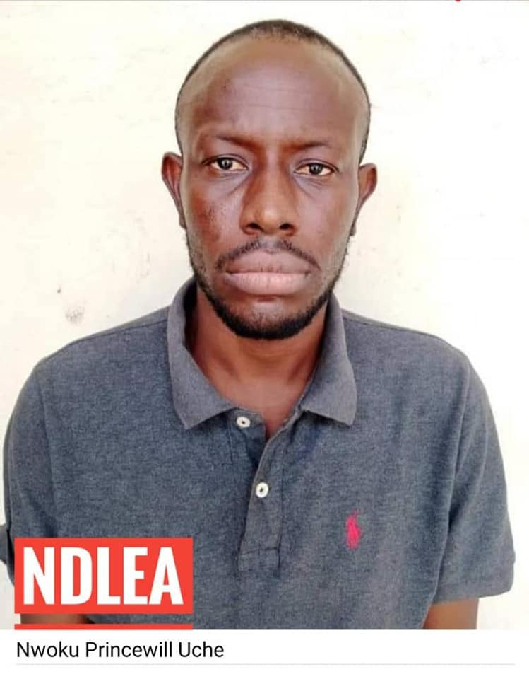 Principal suspect in importation of Jihadist drug arrested after six months on the run as NDLEA recovers 294,440 Tramadol tablets, seizes 38,862 cartridges