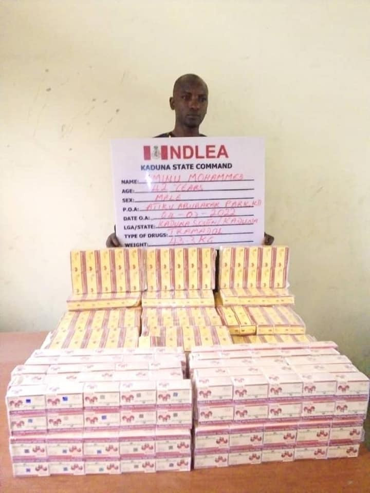 Principal suspect in importation of Jihadist drug arrested after six months on the run as NDLEA recovers 294,440 Tramadol tablets, seizes 38,862 cartridges