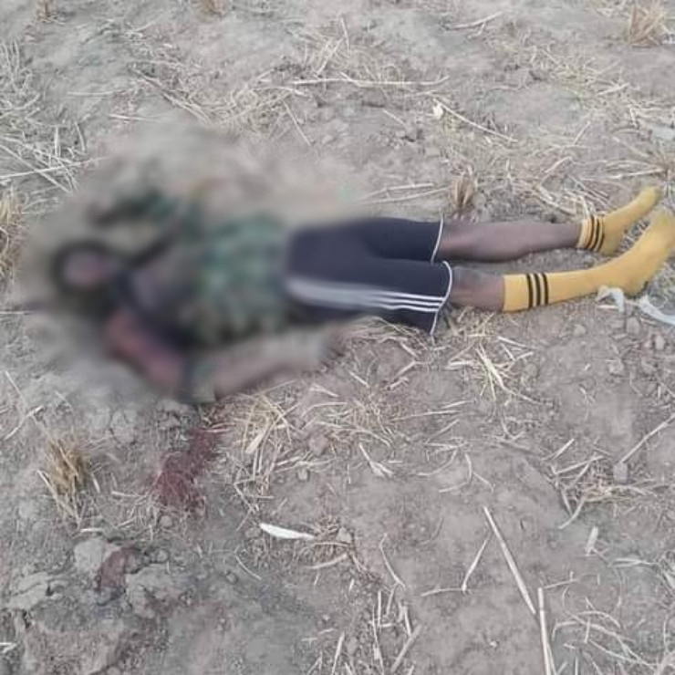 Bandits kill 13 soldiers, five policemen in Kebbi (photos) 