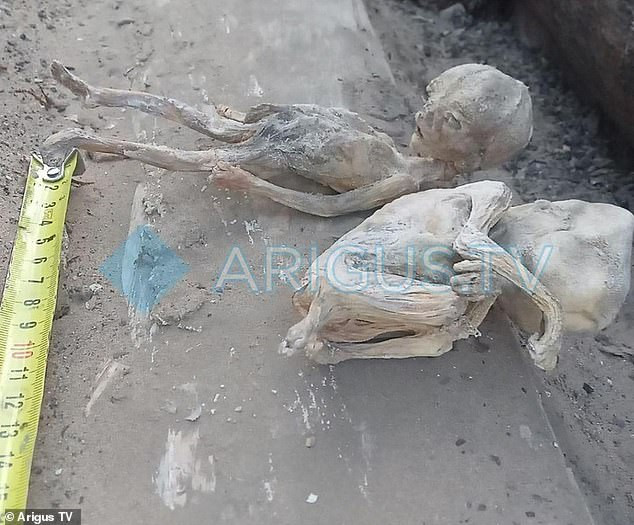 Mummified remains of premature babies dating back more than 100 years are found by workers while renovating former orphanage in Russia (photos) 