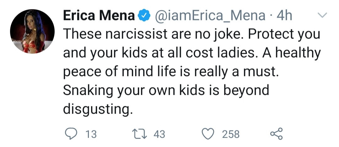 Erica Mena warns women about having kids with narcissists as she appears to throw shade at Safaree