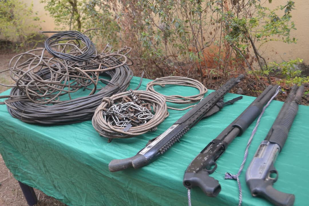 Police gun down three daredevil kidnappers, arrest 43 suspected cultists in Delta 