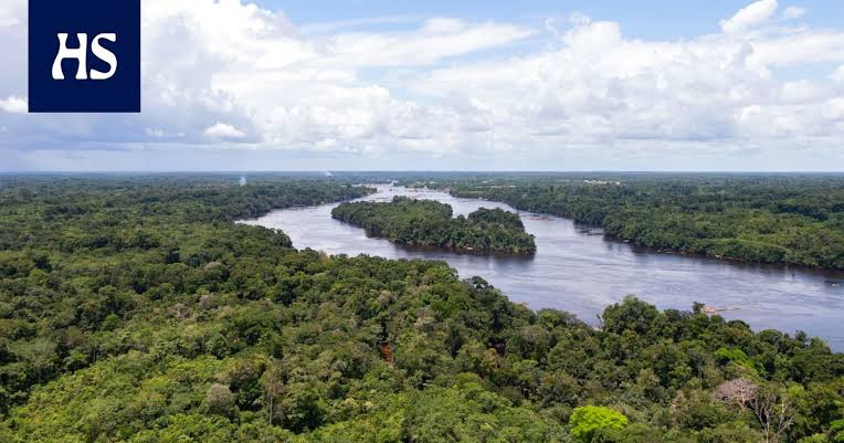 Young brothers aged 6 and 8 found in Amazon forest after going missing for almost four weeks