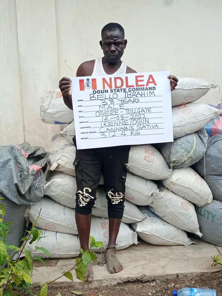 Father of 4 arrested with 20.75kg black liquid cocaine in makeup mascara at Abuja airport as NDLEA recovers 865.2kg drugs, 30,880 tablets of Tramadol 