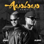 Awolowo (Remix) by Fido ft. Kapo