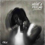 FOLA-What-A-Feeling-EP